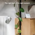 Netatmo-thermostaat op een houten meubel, naast een verwarming en planten.