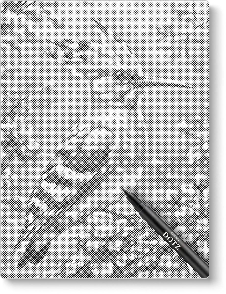 Hop Op Tak | Dot painting | 40x50cm | Dot painting | Oh My Dotz | Dots stippen | Diamond painting & Schilderen op nummer alternatief | Happy hobby