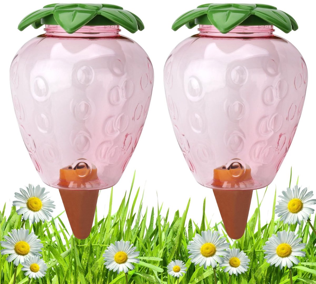 Dailygoods - Irrigatieballen - Planten Waterdispenser - Groot 500 ml - Automatische Plantenirrigatie - Tuindecoratie voor Kamerplanten - Ideaal voor V
