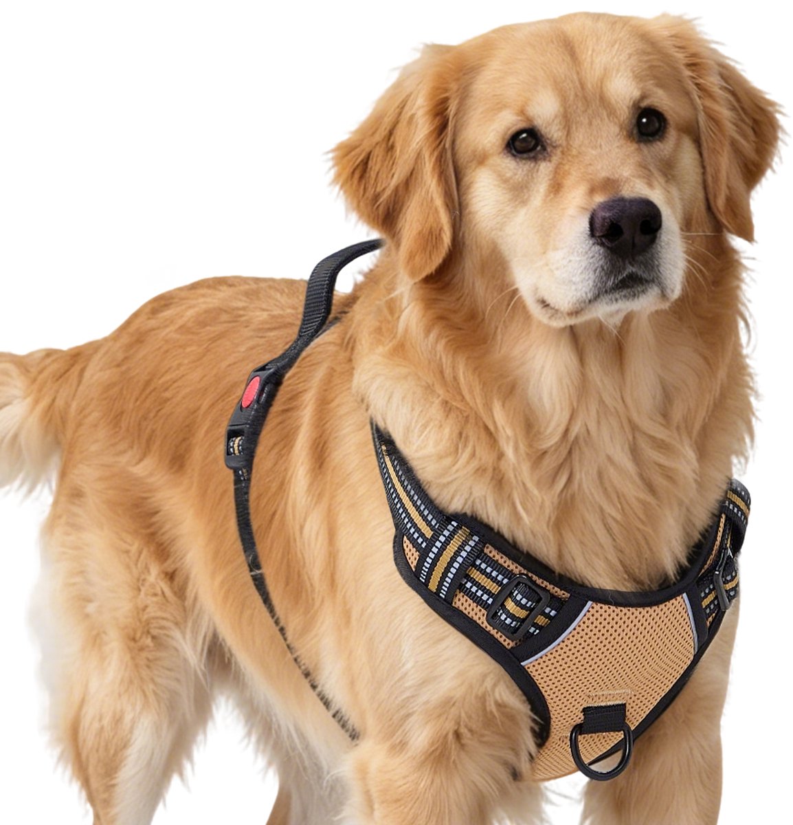 Filo Anti Trek Hondentuig Maat XL Beige - Y Tuig Hond Verstelbaar - Hondenharnas - Honden Tuigje - Leiband Hond - Hondentuigje - Extra Large