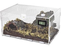 Terrarium voor Reptielen en Slakken - 30cm x 20cm x 15cm - Draagbare Voedingsbox, Mini Terrarium voor Kruidige Huisdieren en Decoratie