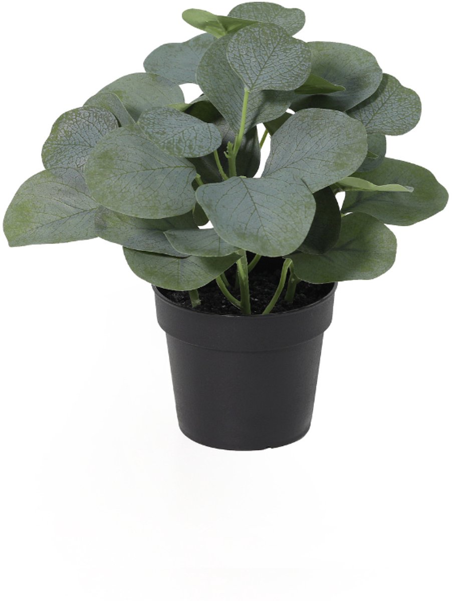 Trendyplants - Kunst Eucalyptus - Eucalyptusboom - Kunstplant - Hoogte 21cm - Potmaat Ø9cm
