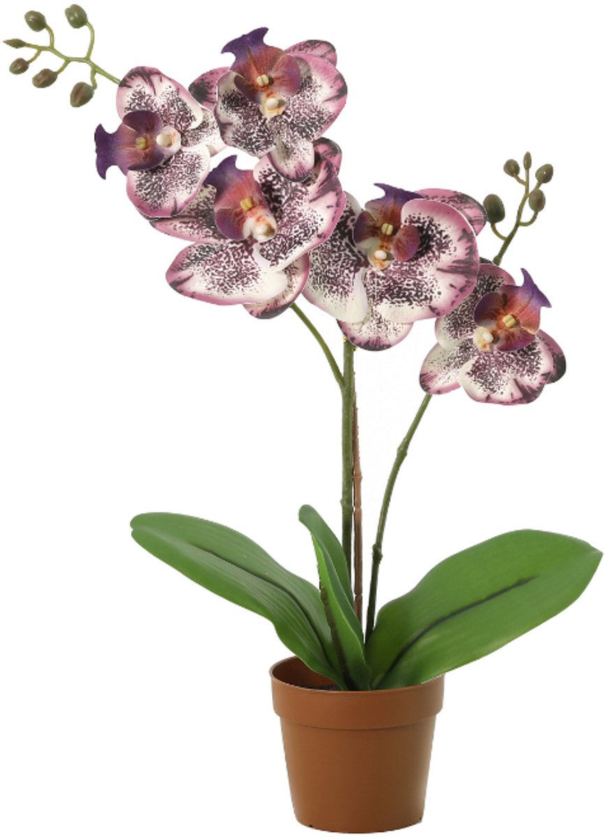 Trendyplants - Kunst Phalaenopsis Orchid Purple - Paarse Orchidee - Kunstplant - Hoogte 41cm - Potmaat Ø9cm