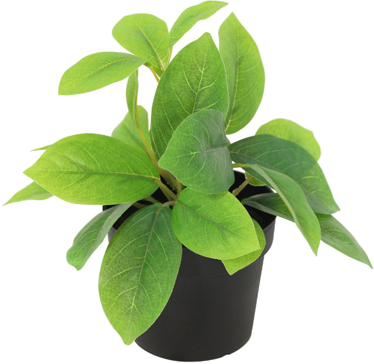 Trendyplants - Kunst Hoya Green - Wasbloem - Kunstplant - Hoogte 20cm - Potmaat Ø9cm