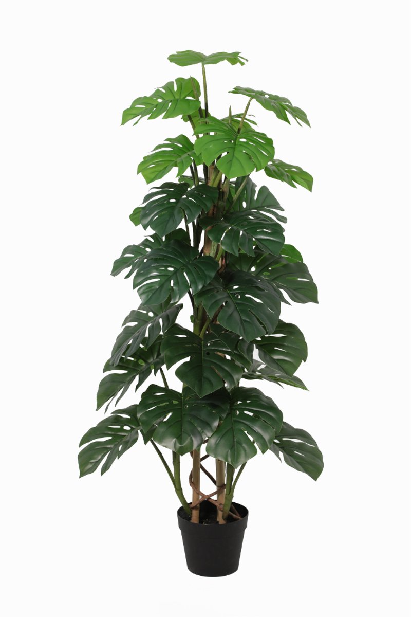 Trendyplants - Kunst Monstera Monkey Leaf - Gatenplant - Kunstplant - Hoogte 125cm - Potmaat Ø18cm