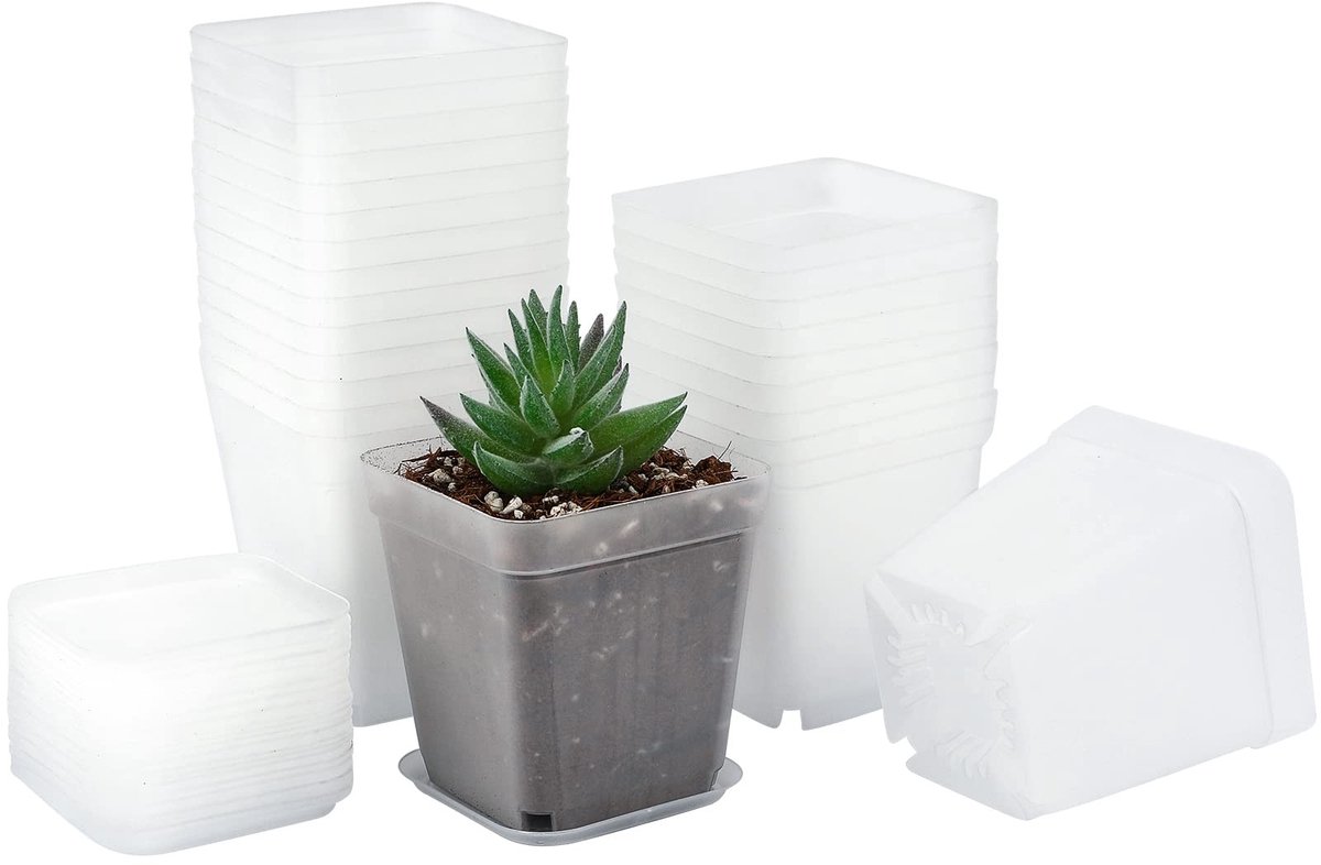 JHUBERS- Zaailingpotten 24 stuks - Vierkante Plantenpotten - Plastic Bloempotten - Afvoergaten - Hoogwaardige Kunststof - Helder 7 cm - Plantenpot