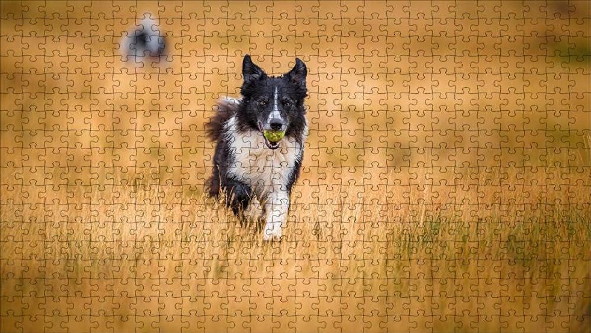 Houten Puzzel - 1000 Stukjes - Ontspanning Thuis - Nauwkeurig Gesneden - 75x50cm - Meerkleurig