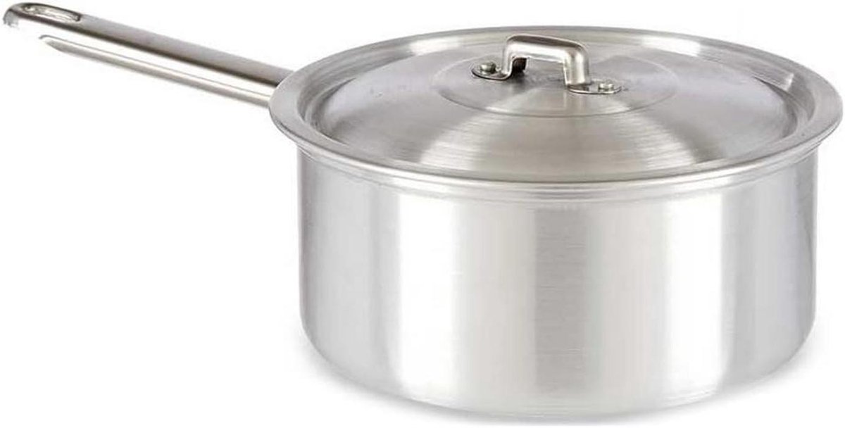 Kookpan met deksel - Steelpan Keukenpan - Mee Koken - Oven Geschikt - 2 Liter - Zilver