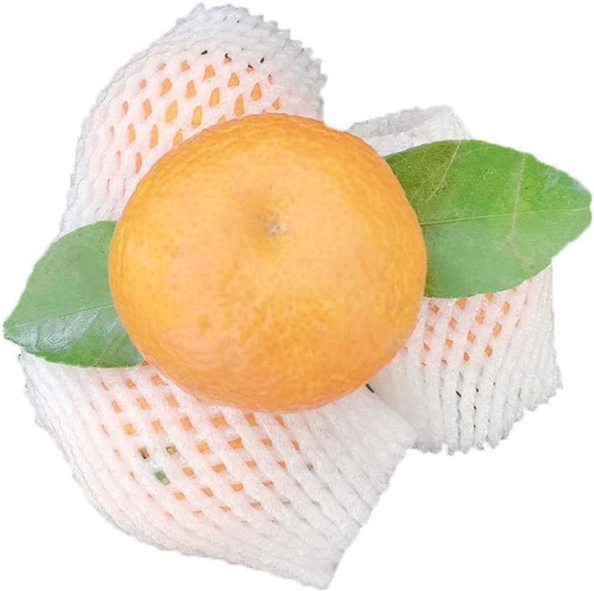 Beschermhoezen - Netzakken - Fruit Beschermen - Ademend Materiaal - 50 Stuks - Wit