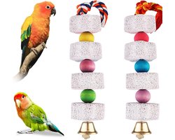Vogel Speelgoed - Knaagspeelgoed - Vogel Hersenen Trainen - Natuurlijk Mineraal - 2 Stuks - Multicolor