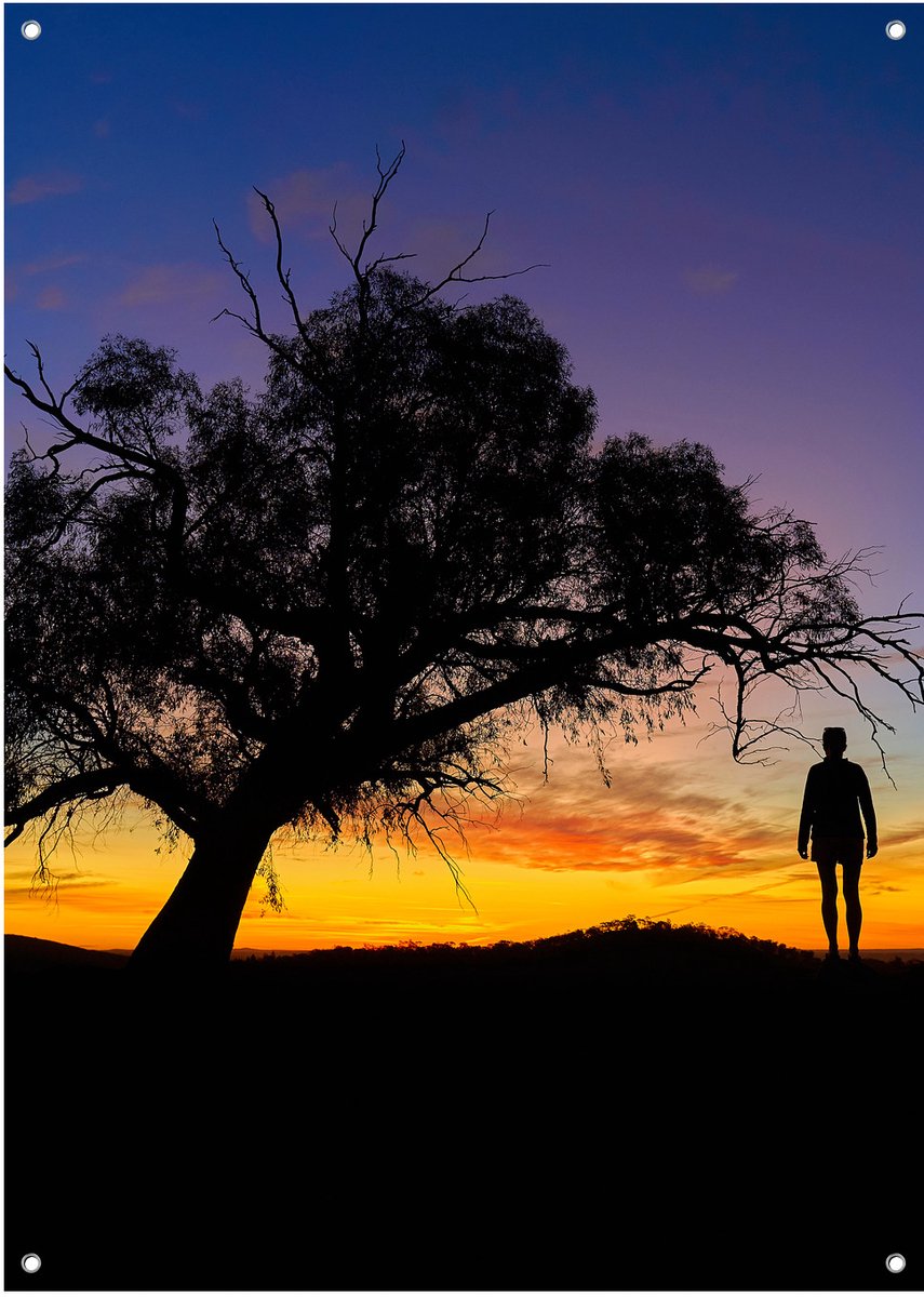 Zonsondergang Silhouet Boom - Tuinposter - Tuindoek - 50x70 cm - Buitenposter - Schuttingdoek - Tuinschilderij voor Buiten
