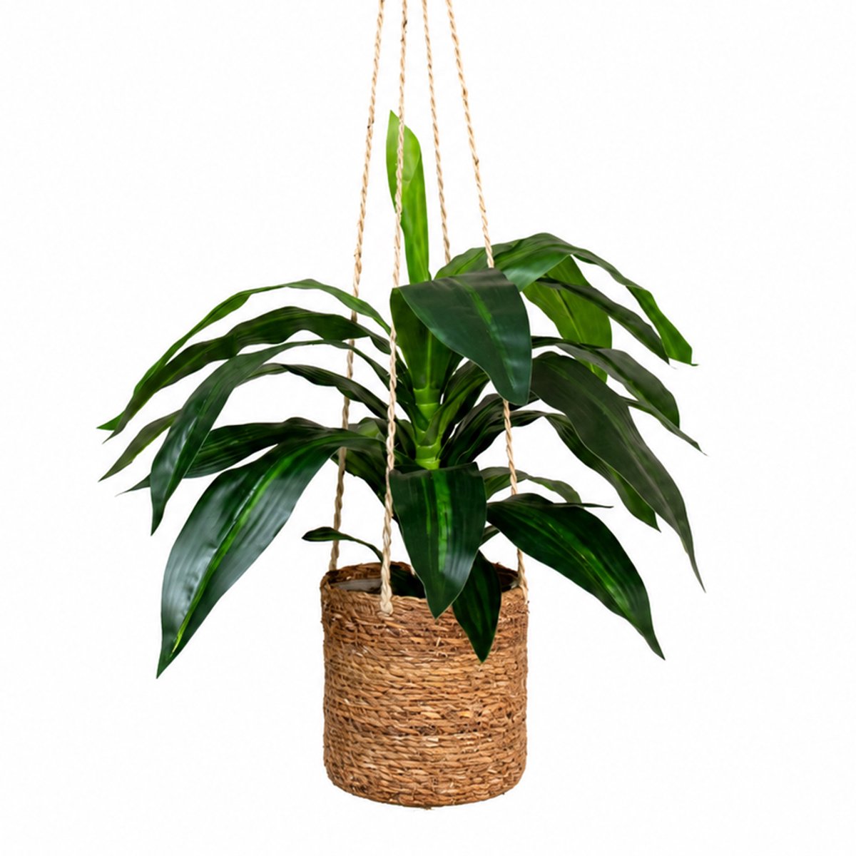 HTT Decorations Kunstplant Dracaena fragans in hangmand naturel L100cm