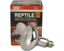 Warmtelamp Terrarium - Reptielenlamp UVA - Terrarium Klimaat - Alles-in-één - 80 Watt - Gecoat