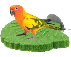 Vogel Zitstok - Knaagspeeltje - Vogelwelzijn - Natuurlijk Mineraal - 13.5 cm - Groen