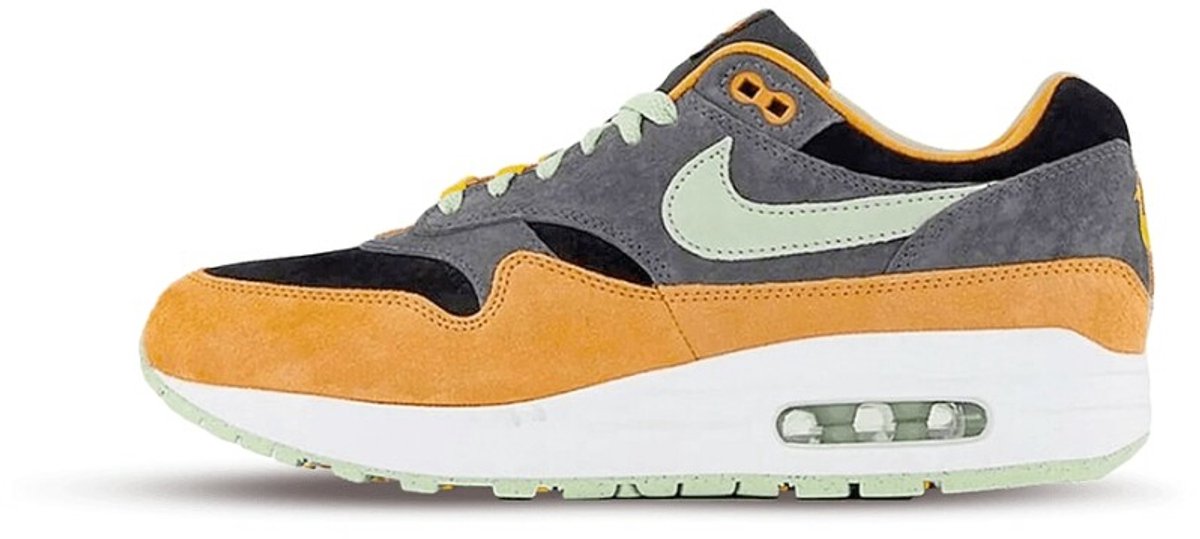 Nike Air Max 1 PRM Duck Honey Dew DZ0482-001 Kleur Als Op Foto