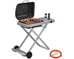 Draagbare Gasbarbecue - Gasbarbecue en grill - 1 Branders - 2,5 kW - Grillwagen - Barbecuewagen - met Grillrooster, Wielen, Inklapbaar Onderstel, Bijzettafels, Thermometer & Deksel - 109 x 55 x 89 cm - Zwart + Zilver
