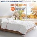 Niveau 2-3 - Herfst & Lente dekbed: gemiddeld warm, ideaal voor de eerste koude dagen.