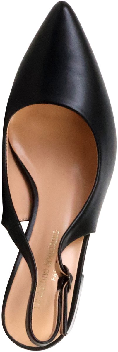 LBS-pumps