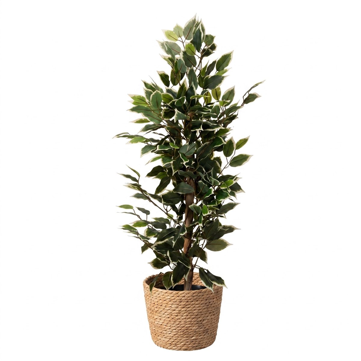 Cheqo® Kunstplant Ficus - Kunstboom - Nepplant - Treurvijg - Ficus Benjamina - voor Binnen - Bont Groen Wit - Sfeerplant - Kamer Decoratie - Nep Boom in Pot - voor Woonkamer en Kantoor - Kunstmatige Plant - Woondecoratie - Sierplant - Sierboom