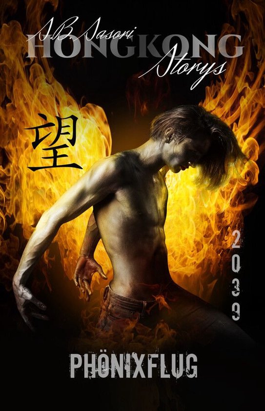 Hongkong Storys 5 - Phönixflug - cover