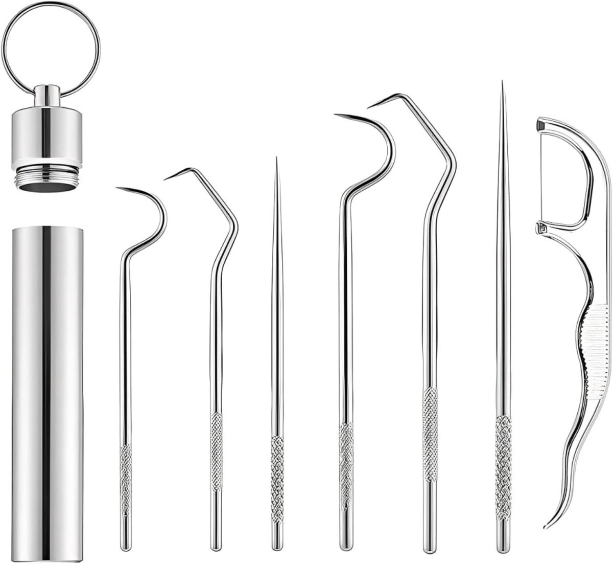 Dailygoods- Tandenstokers 7-delige set - Roestvrij Staal 304 - Tandenreinigingsset - Tandenstokerbox - Draagbare Sleutelhanger - Voor Buiten/Camping - Tandenreinigers