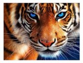 Close-up van een tijgergezicht met intense blauwe ogen en oranje vacht, diamond painting.