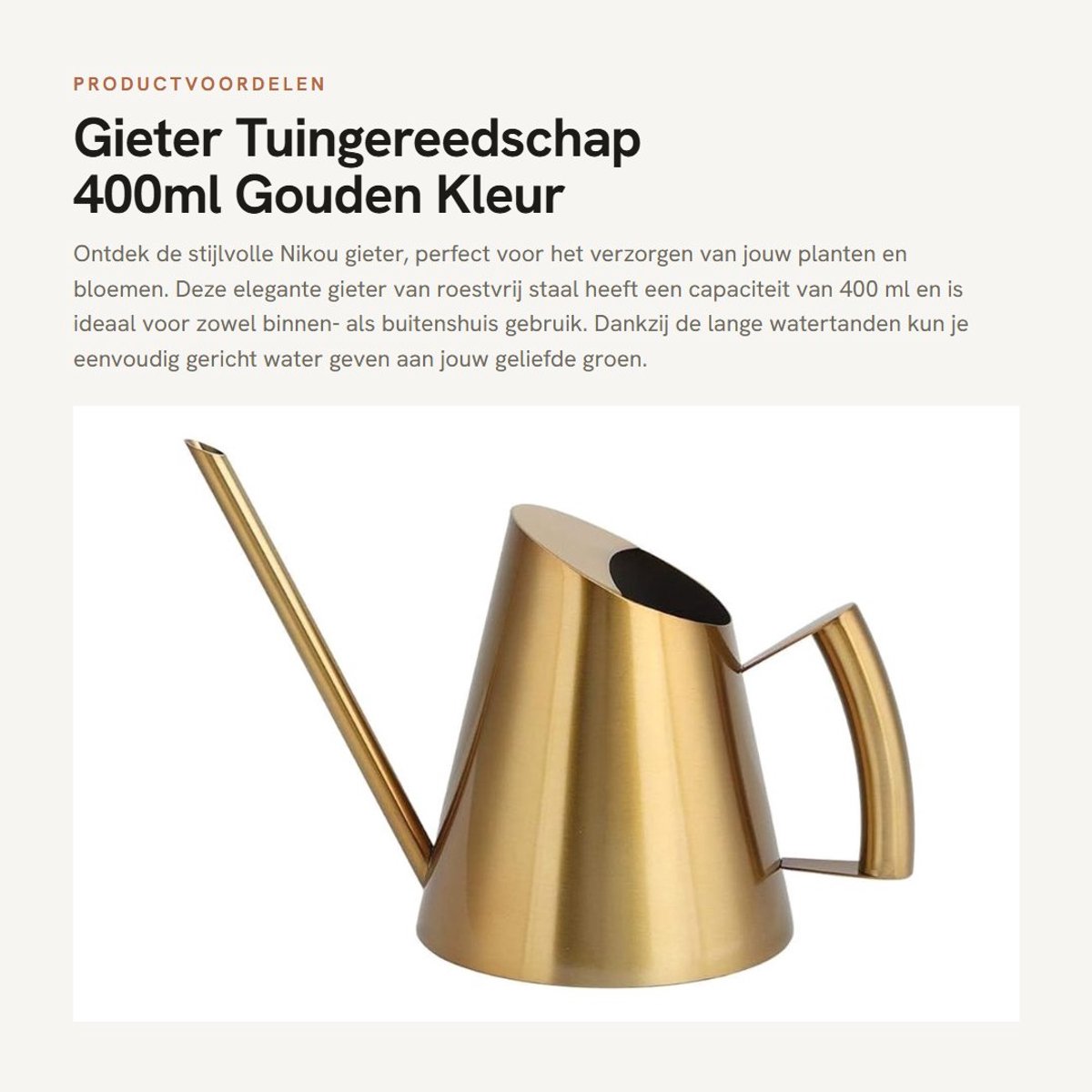 Dailygoods- Gieter 400ml Roestvrij Staal - Gieter met Sproeikop - Gieter voor Binnen - Gieter voor Buiten - Tuingereedschap - Lichtgewicht en Duurzaam - Plantenbewateringskan