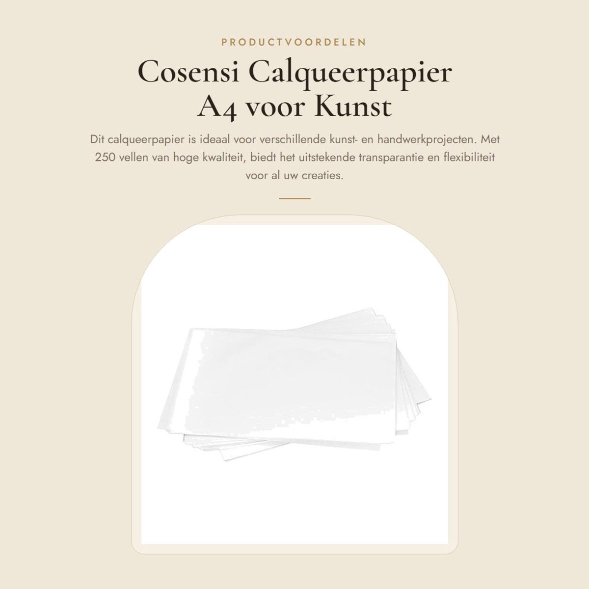 Dailygoods- Calqueerpapier 250 Vellen - Semi-transparant - Flexibel en Stevig - Hoge Transparantie - Glad en Delicaat - Voor Kunst- en Handwerkprojecten - Schetspapier