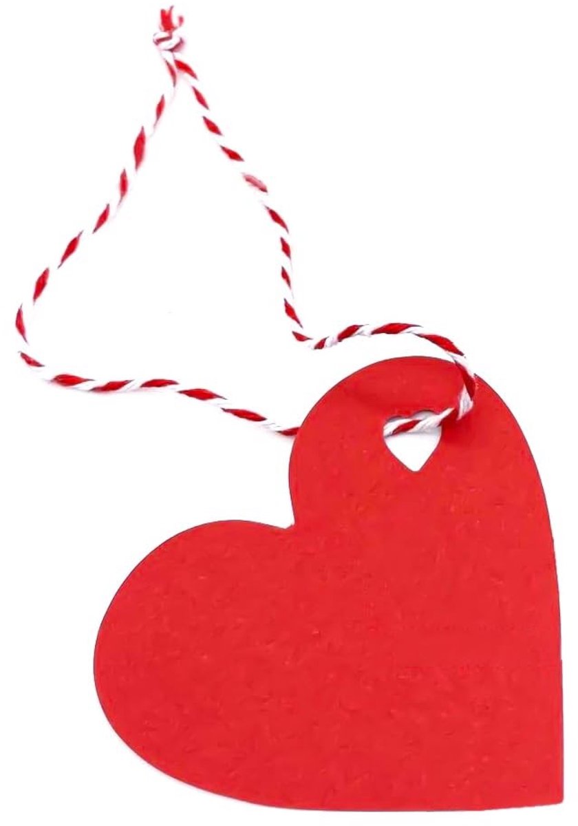Dailygoods- Cadeauhangers 200 Stuks - Hartvormige Hangers - Papieren Lint - Doe-Het-Zelf Geluksbrenger - Touw 25 m - Hoogwaardig Kraftpapier - Geschenkhangers