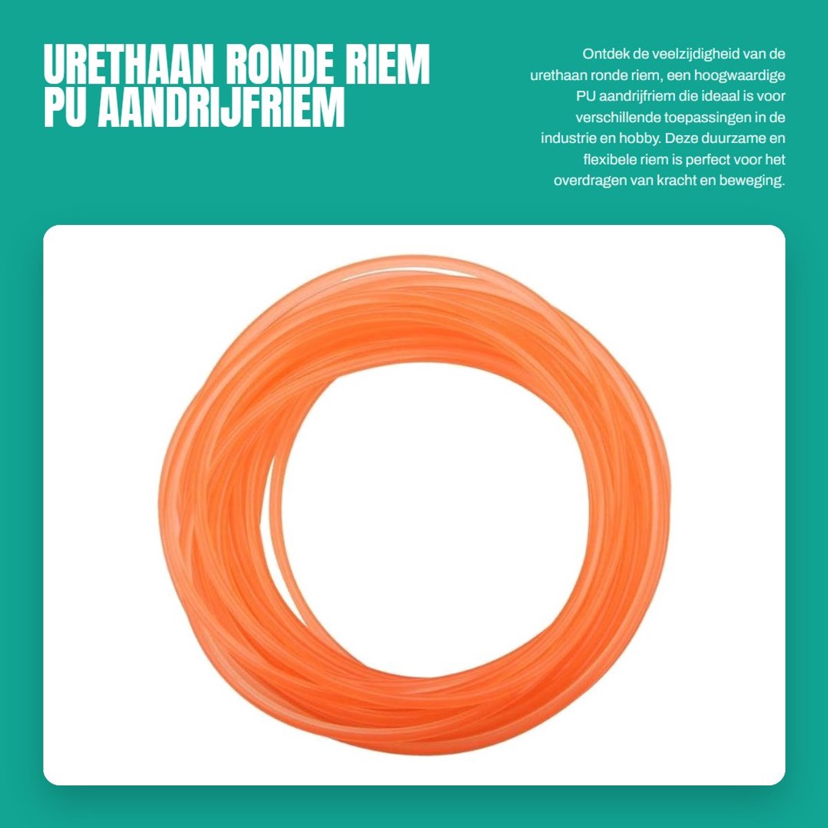 Dailygoods- Aandrijfriem PU - Ronde Polyurethaan Riempje - 6 mm x 10 m - Transmissieriem - Geschikt voor Meerdere Toepassingen - Comfortabel in Gebruik