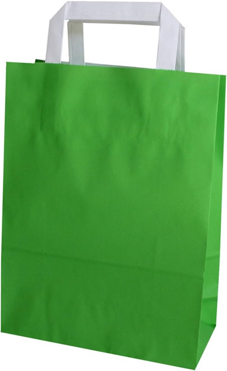 Papieren draagtassen - Geschenkzakken - Winkelen en verpakken - Platte handvatten - 22+10x29 cm - Groen