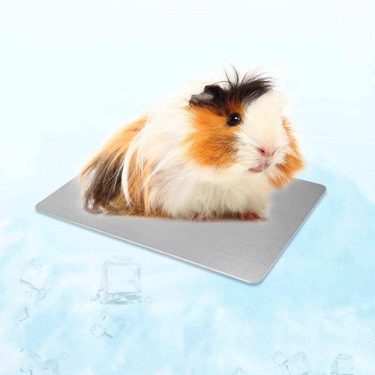 Dailygoods - Koelmat voor hamster - Koelkussen voor kleine dieren - Ideaal voor koeling en comfort - 12 x 8 cm - Geschikt voor konijnen en cavia's - A...