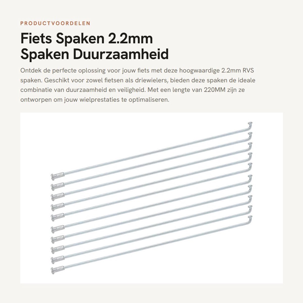 Dailygoods- Fietsspaken 2.2mm - 10 Stuks - RVS Spaken - Duurzaam - Flexibel - Ondersteuning Velg - Wielspaken