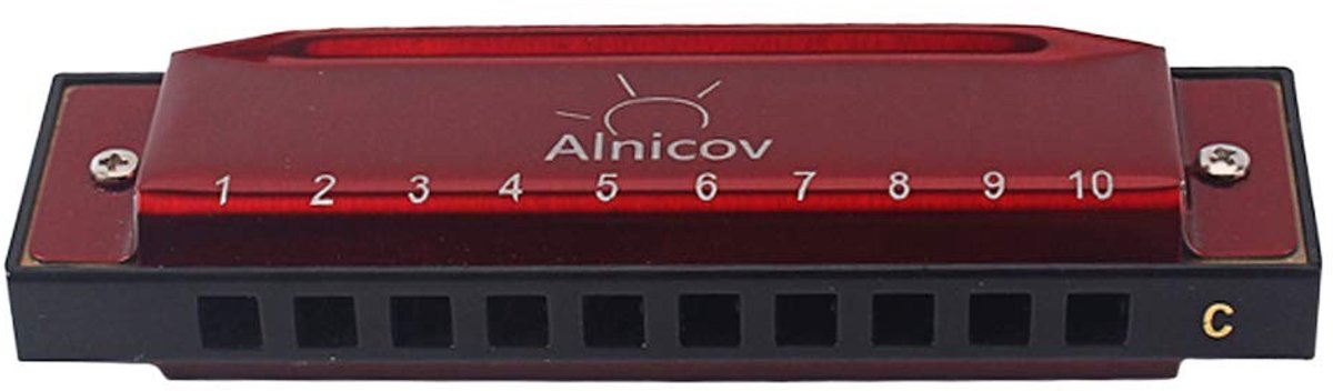 Dailygoods - Harmonica - 10 Holes - Professioneel en Beginner - Rood - Blues Harmonica - Inclusief Case en Schoonmaakdoek - Geschikt voor Kinderen en...