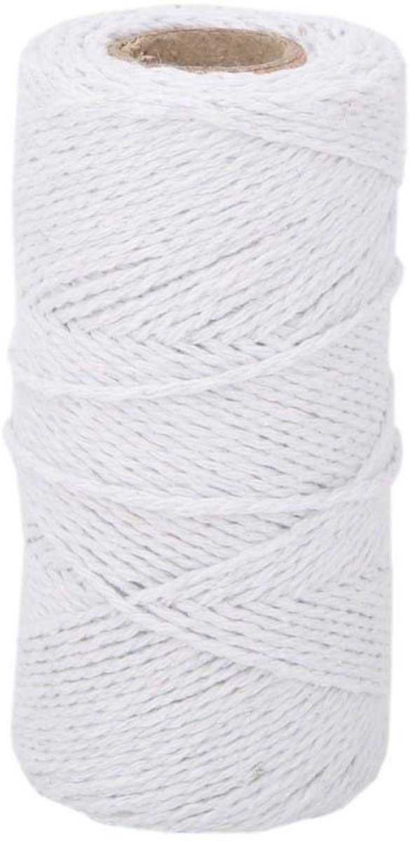 Dailygoods- Jute Touw 100m - Henneptouw - DIY Kunst - Tuinieren - Cadeauverpakking - Dikte 1-2 mm - Natuurlijke Kleur