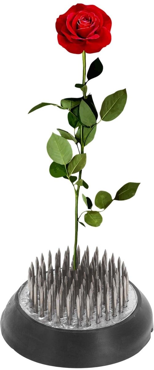 Dailygoods- Bloemenkikker Roestvrij Staal - Bloemenstandaard - Kikkers met Kegels - Bloemstukken - Tafelopzetstukken - Duurzaam Ontwerp