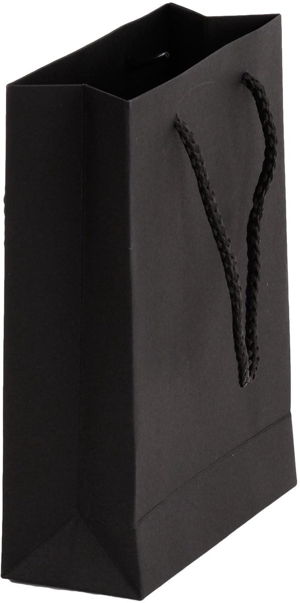 Dailygoods- Papieren Zakken Extra Verdikt - Cadeauzakjes - Geschenktas - Papieren Draagtassen - Cadeautasjes - Voor Wijn/Champagne - 10 Stuks - Cadeautas
