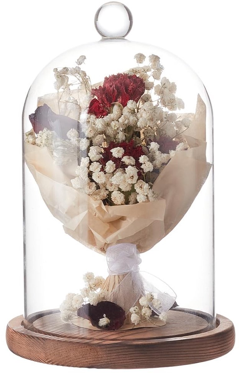 Dailygoods- Glazen Bel 18 x 12 cm - Houten Sokkel - Rustieke Decoratie - Voor Planten/Sieraden - Klassiek Object - Geschikt voor Cadeaus - Cloche