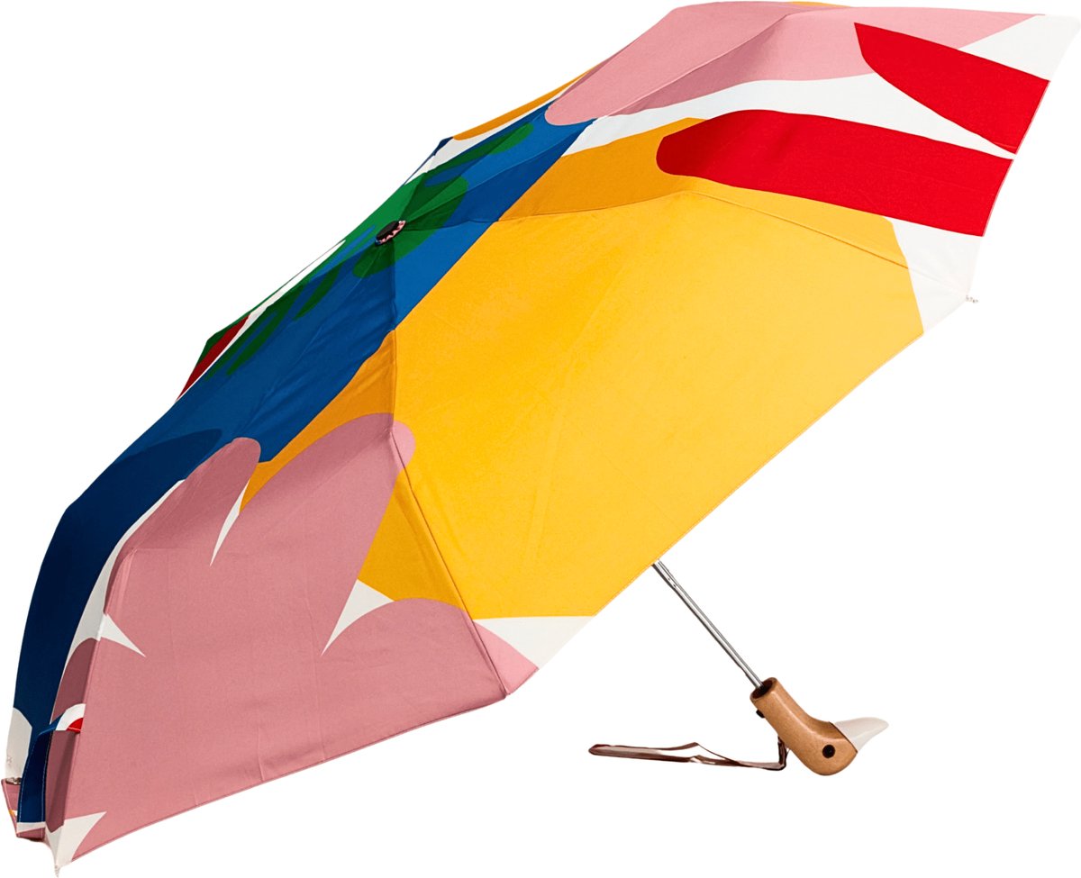 Duckhead | Duurzame paraplu | Matisse-motief | Meerkleurig