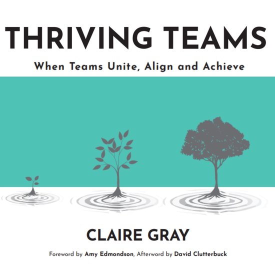 Thriving Teams - cover