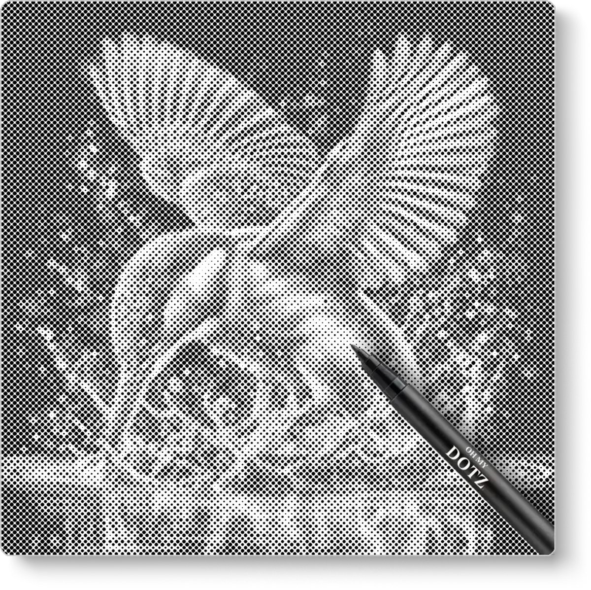 Ijsvogel | Dot painting | 50x50cm  Meest gekozen | Dot painting | Oh My Dotz | Dots stippen | Diamond painting & Schilderen op nummer alternatief | Happy hobby