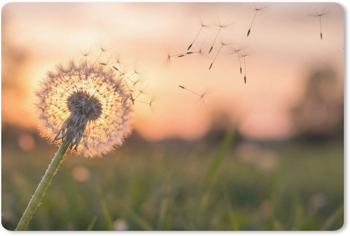 Muismat 13x8 cm - Mousepad Paardenbloem - Zonsondergang - Veld - Muismatten