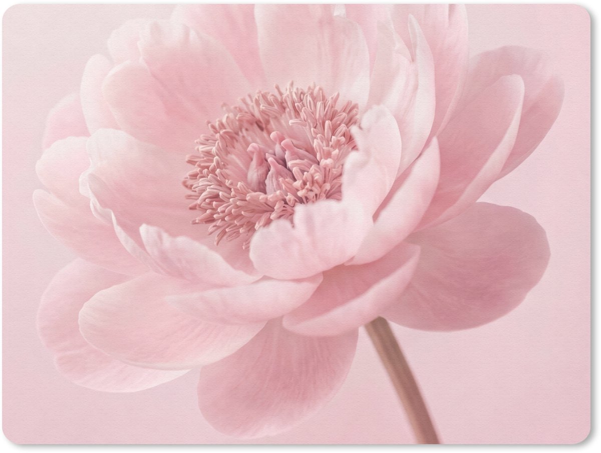 Muismat 12x10 cm - Mousepad Bloem - Pioenroos - Roze - Muismatten