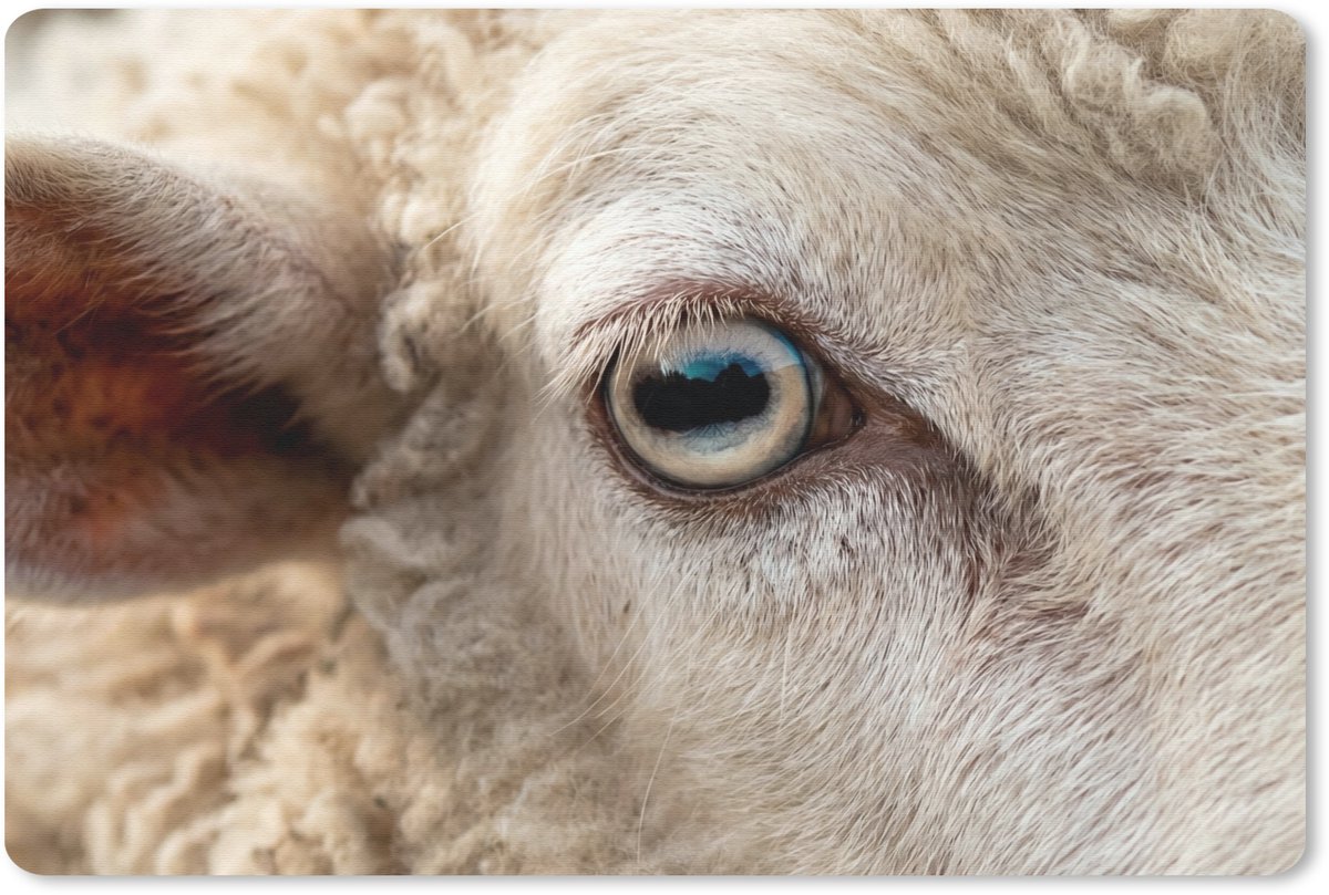 Muismat 13x8 cm - Mousepad Schaap - Oog - Wit - Muismatten