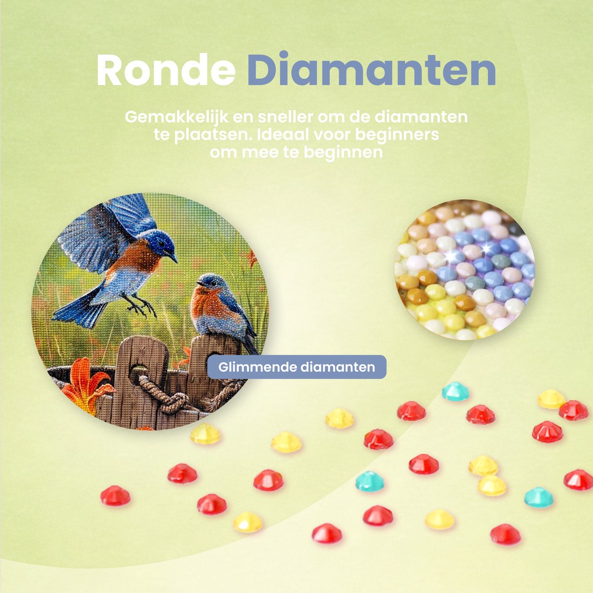Rubye® Diamond Painting Volwassenen - Diamond Painting Kinderen - Diamond Painting Pakket Volledig - Vogels en Bloemen - 40x50cm — afbeelding 2