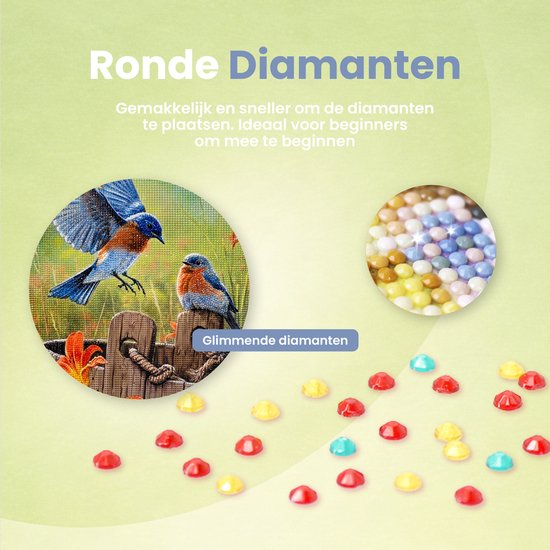 Rubye® Peinture de diamants Adultes - Peinture de diamants Enfants - Vogels et Fleurs - 40x50cm