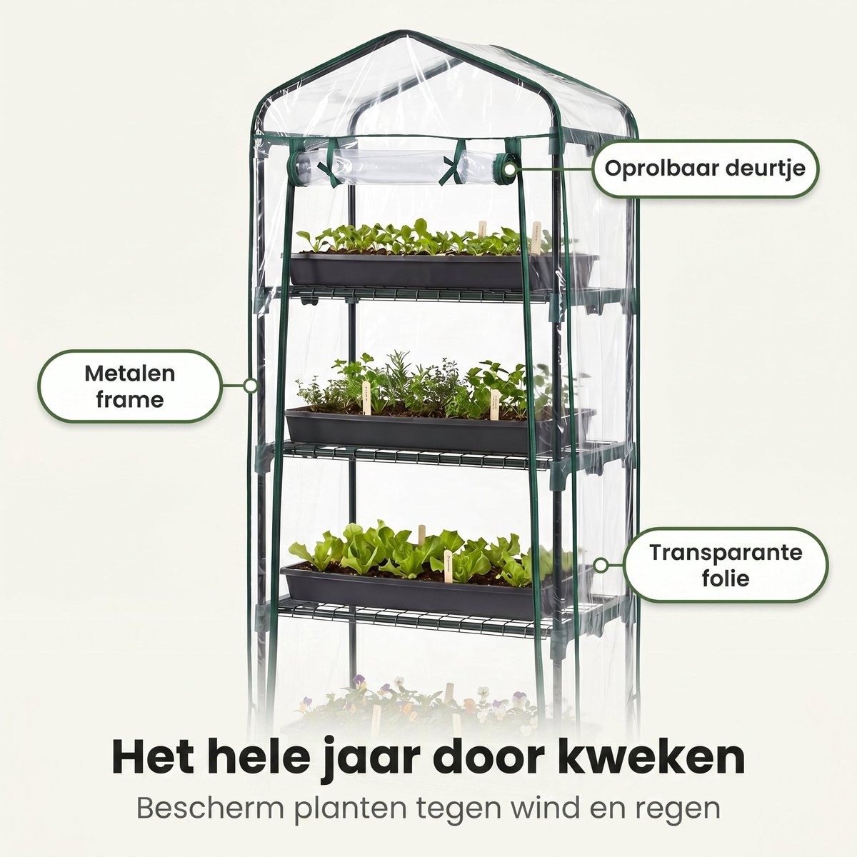 Lomera Broeikas - Kweekkas - 4 Verdiepingen - Foliekas - Serre - Mini Serre - Tuinkas - Plantenkas voor Balkon - Groenten Kweken - Tuin en Terras - Metalen Frame - Bloemenkas - Kruiden Kweken - Kweektent - Moestuin - Zaailingen – foto 2
