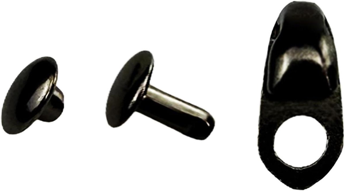 Flylin 40 stuks schoengespen, haken met klinknagels, schoenhaken, doe-het-zelf boothaken, veterbeslag schoenhaken, boot, wandelschoenen, ogen, bergbeklimmen, laarzen voor reparatie, camping, wandelen