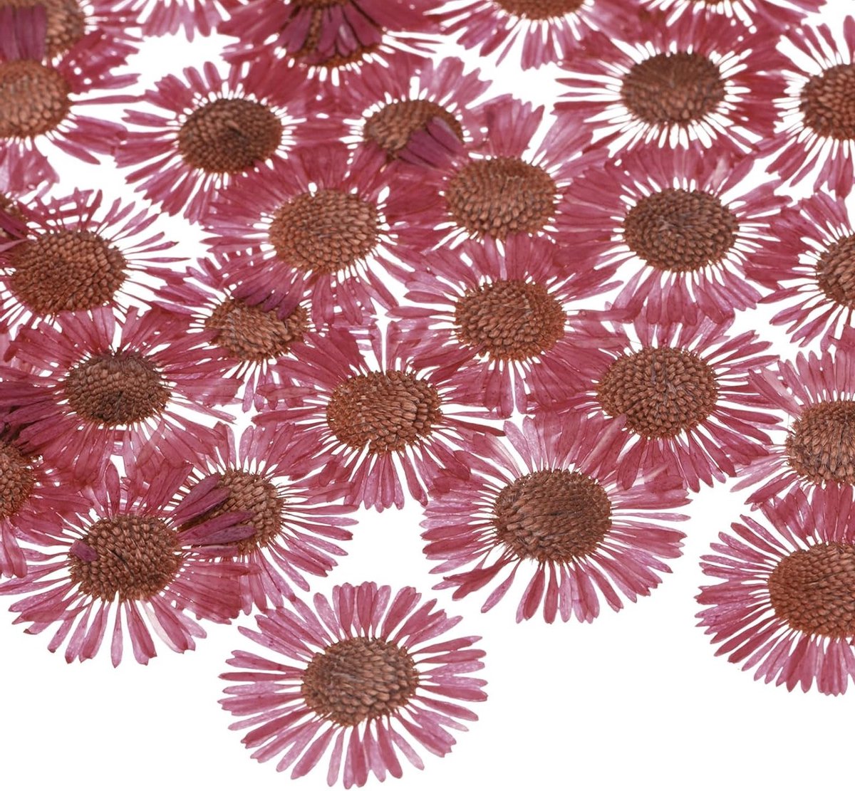 12 Pcs Geperste en Gedroogde Bloemen voor Resin - Natuurlijke en Echte Gedroogde Bloemen voor Creatieve Knutselprojecten - Zeep, Scrapbooking, Kaarsen, Epoxy Resin Benodigdheden, Roze Roos