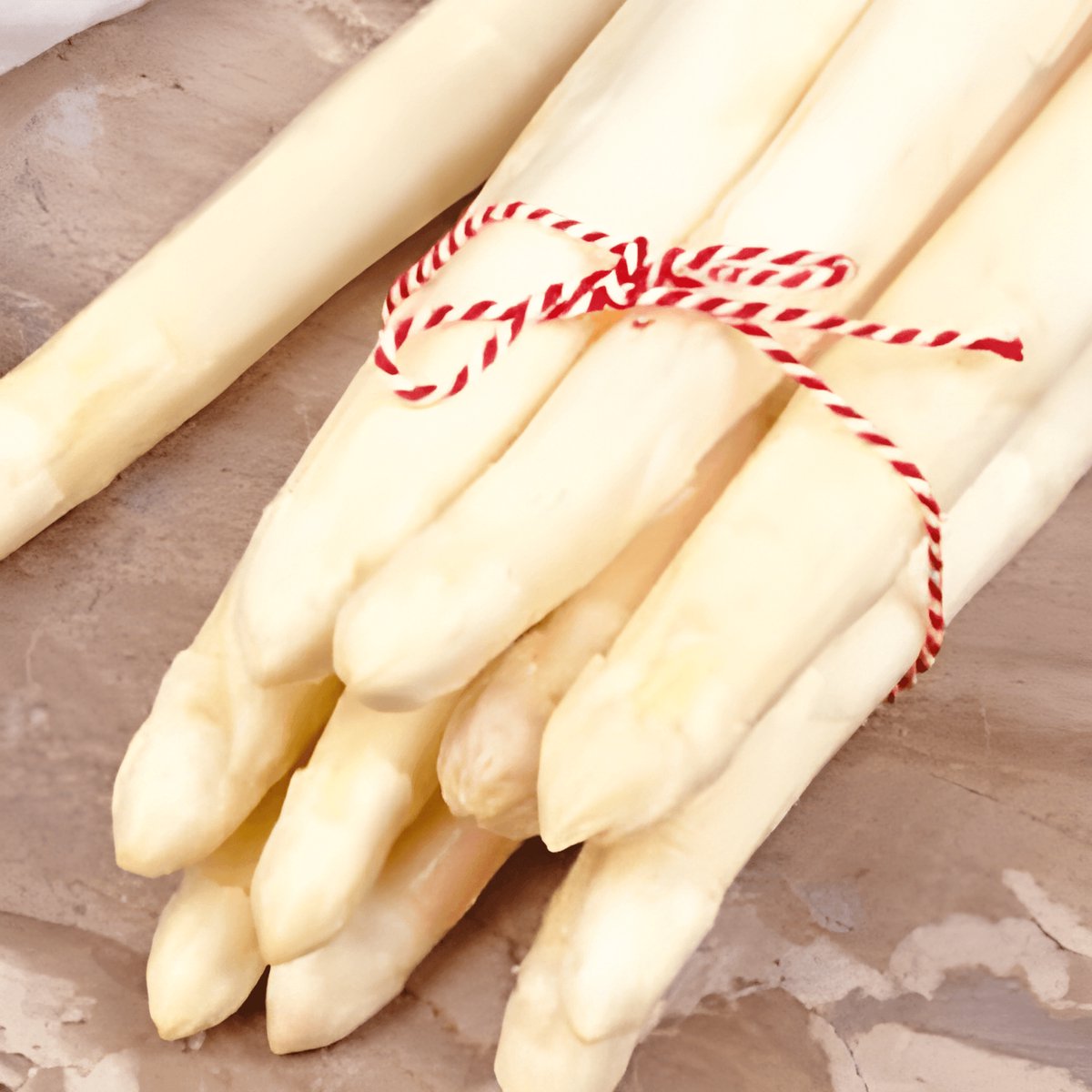 3 sets - Asperges Zaden Argenteuil Asparagus Officinalis Meerjarig